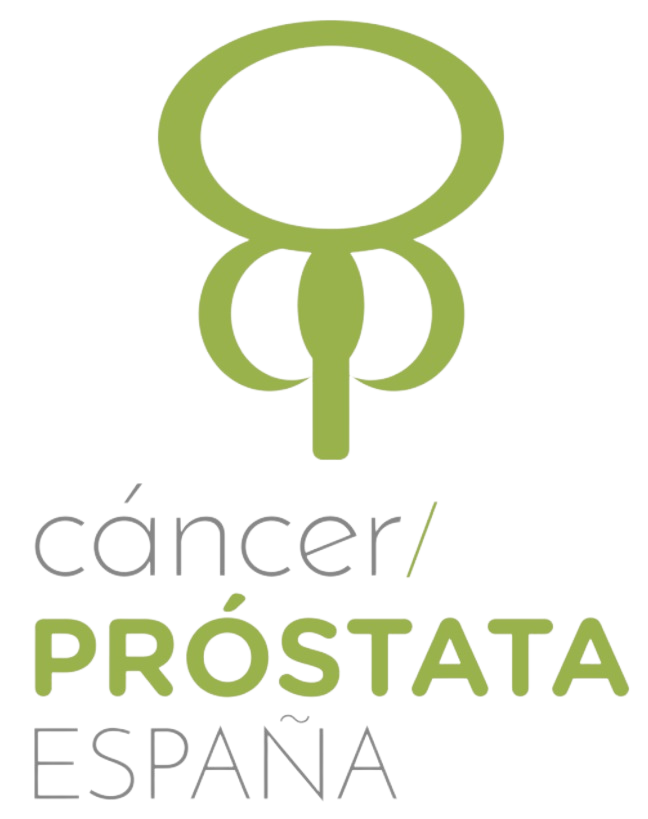 Prostata